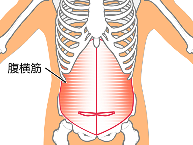 インナーマッスル　アウターマッスル　違い　筋トレ　ダイエット方法